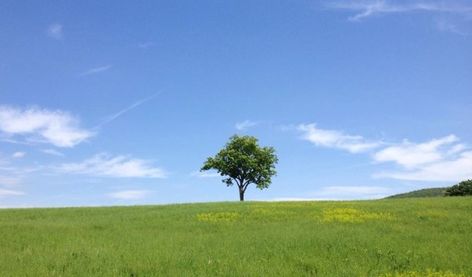 Peace of mind with financial&nbsp;organization.