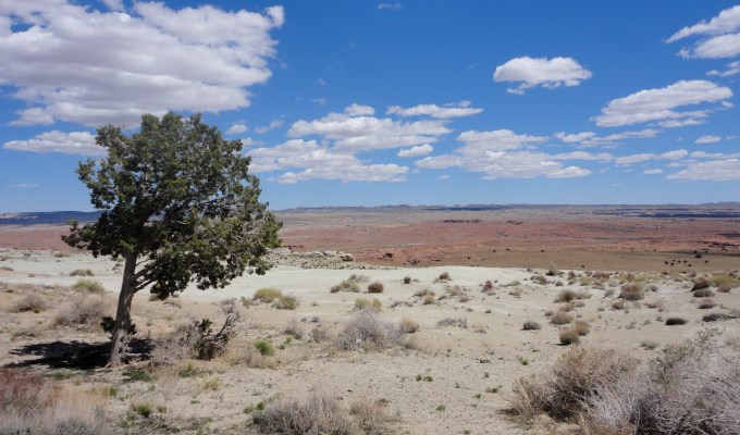 Streamline your social media&nbsp;chores.